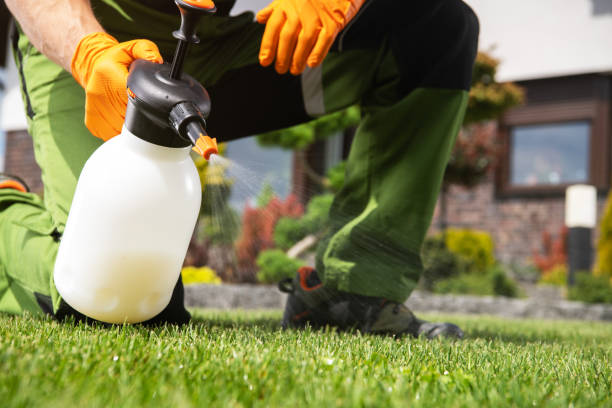Best Affordable Pest Control Services  in Red Corral, CA