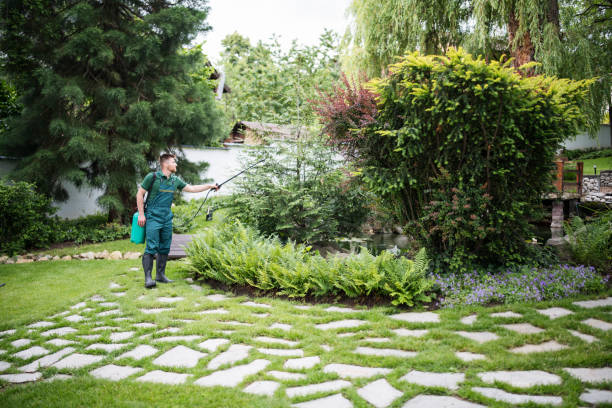 Best Pest Removal Services  in Red Corral, CA