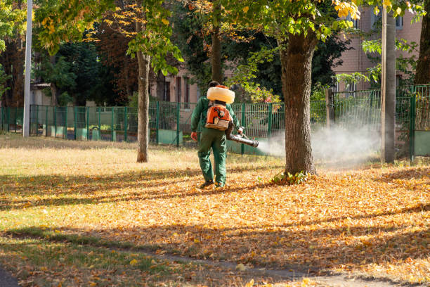 Wasp Removal Services in Red Corral, CA