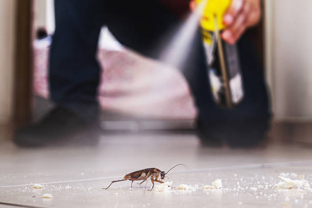 Best Mosquito Control Services  in Red Corral, CA