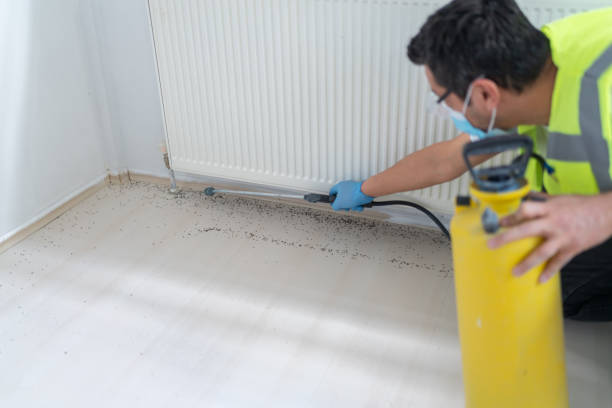 Best Affordable Pest Control Services  in Red Corral, CA